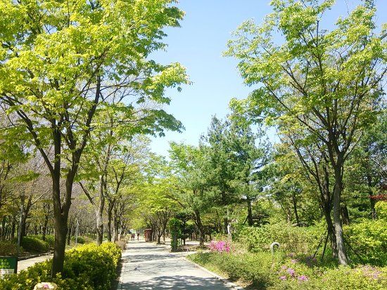 Seoul Forest